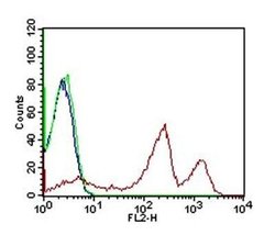 Thrombomodulin/BDCA-3 Antibody (6C8.2F9) - Azide and BSA Free, Novus Biologicals 0.1 mg | Buy Online | Novus Biologicals | Fisher Scientific